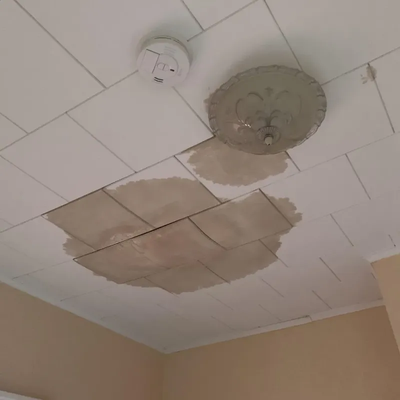 Ceiling Water Damage Repair in Bay, AR