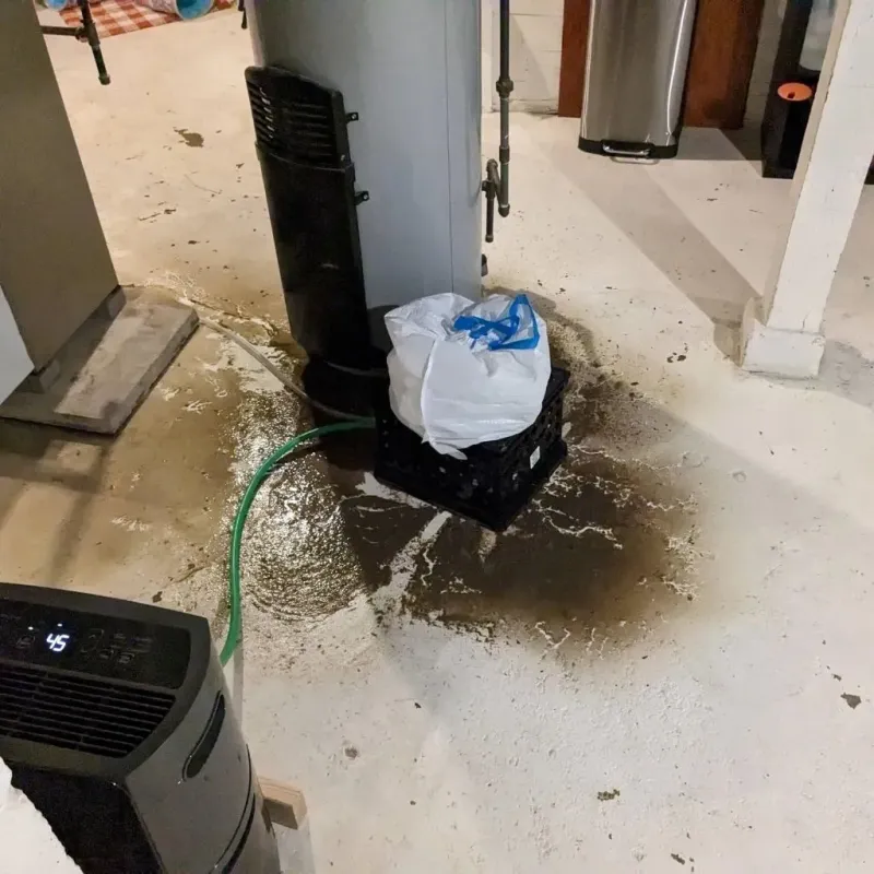Sewage Backup Cleanup Service in Bay, AR